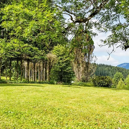 Esche 4 By Interhome Ellmau