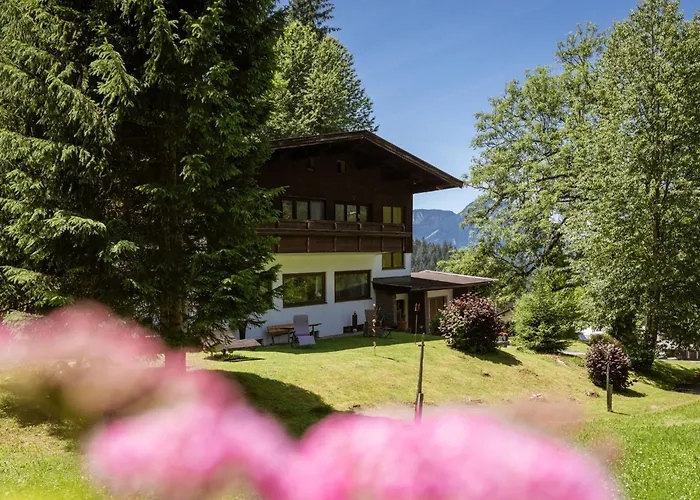 Esche 4 By Interhome Lejlighed Ellmau