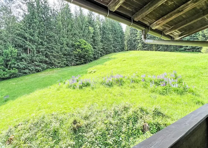 Lejlighed Esche 4 By Interhome Ellmau