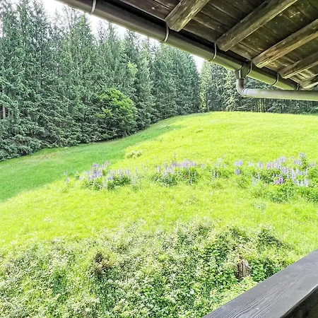 Daire Esche 4 By Interhome Ellmau