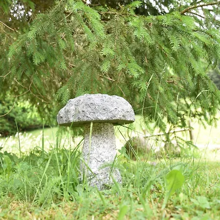 Esche 4 By Interhome * Ellmau